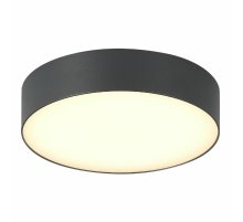 Уличный потолочный светильник ST Luce Sun SL9518.702.01