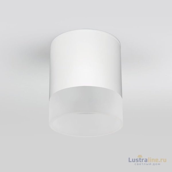 Уличный потолочный светильник Elektrostandard Light LED 4690389177958 Уличный потолочный светильник Elektrostandard Light LED 4690389177958