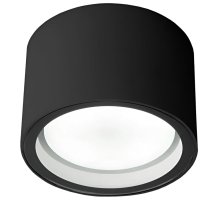 Уличный потолочный светильник Elektrostandard Light 4690389180835