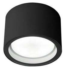 Уличный потолочный светильник Elektrostandard Light 4690389180835