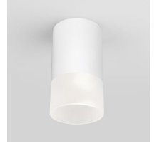 Уличный потолочный светильник Elektrostandard Light LED 4690389177927
