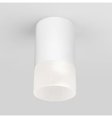 Уличный потолочный светильник Elektrostandard Light LED 4690389177927