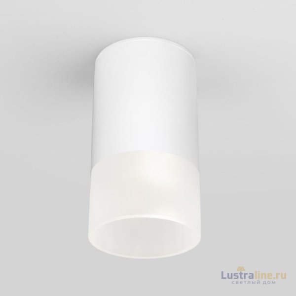 Уличный потолочный светильник Elektrostandard Light LED 4690389177927 Уличный потолочный светильник Elektrostandard Light LED 4690389177927
