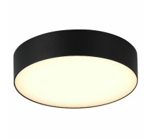 Уличный потолочный светильник ST Luce Sun SL9518.402.01