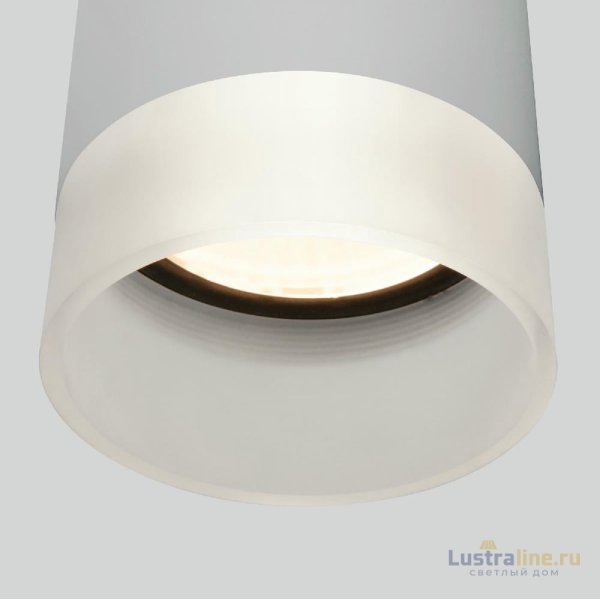 Уличный потолочный светильник Elektrostandard Light LED 4690389177965 Уличный потолочный светильник Elektrostandard Light LED 4690389177965