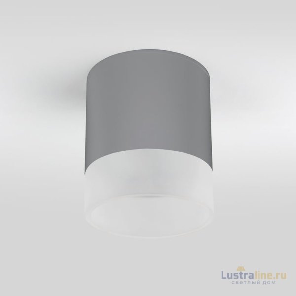 Уличный потолочный светильник Elektrostandard Light LED 4690389177965 Уличный потолочный светильник Elektrostandard Light LED 4690389177965