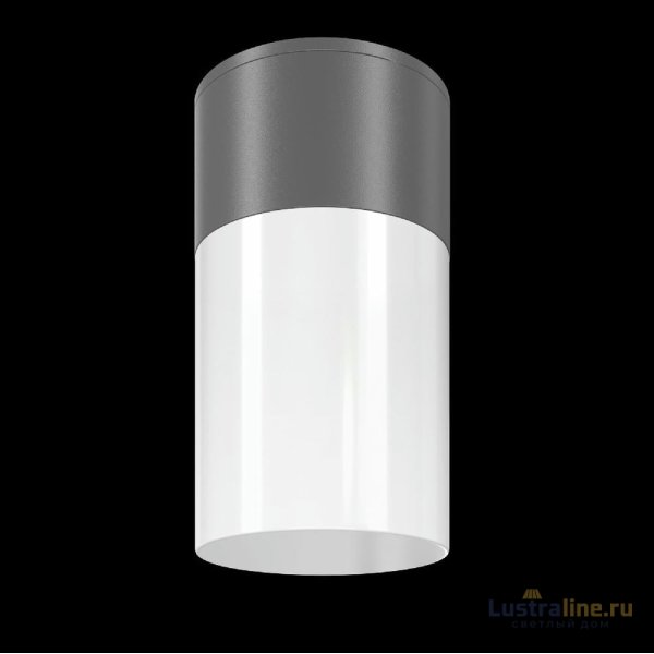 Уличный потолочный светильник Maytoni Willis O418CL-01GR Уличный потолочный светильник Maytoni Willis O418CL-01GR