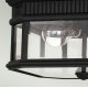 Уличный потолочный светильник Feiss Cotswold lane FE-COTSLN-F-BK