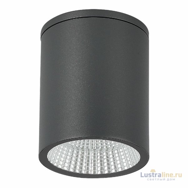 Уличный потолочный светильник ST Luce Tubo SL9514.712.01