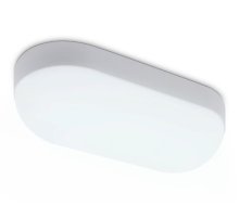 Уличный потолочный светильник Ambrella Light Street ST8666