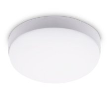 Уличный потолочный светильник Ambrella Light Street ST8624
