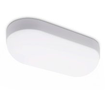 Уличный потолочный светильник Ambrella Light Street ST8662