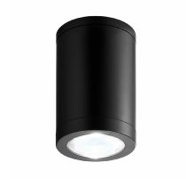 Потолочный уличный светильник Escada 30008 30008P/01 УЦ