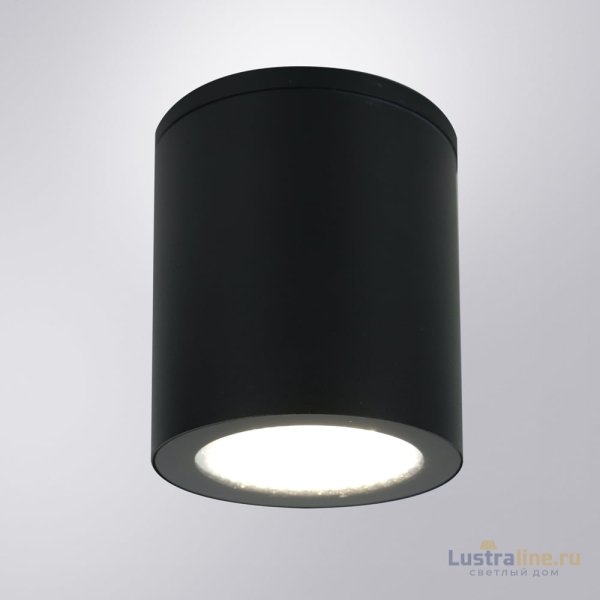 Уличный потолочный светильник Arte Lamp Torcular A1813PF-1BK