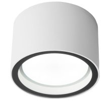 Уличный потолочный светильник Elektrostandard Light 4690389180828