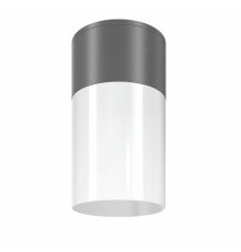 Уличный потолочный светильник Maytoni Willis O418CL-01GR