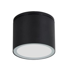 Уличный потолочный светильник Arte Lamp Piautos A1913PF-1BK