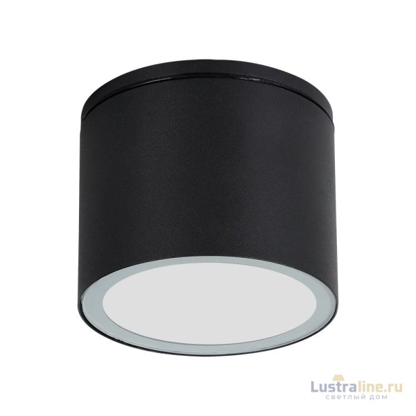 Уличный потолочный светильник Arte Lamp Piautos A1913PF-1BK Уличный потолочный светильник Arte Lamp Piautos A1913PF-1BK