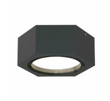 Уличный потолочный светильник Favourite Fantum 4667-1U Уличный потолочный светильник Favourite Fantum 4667-1U