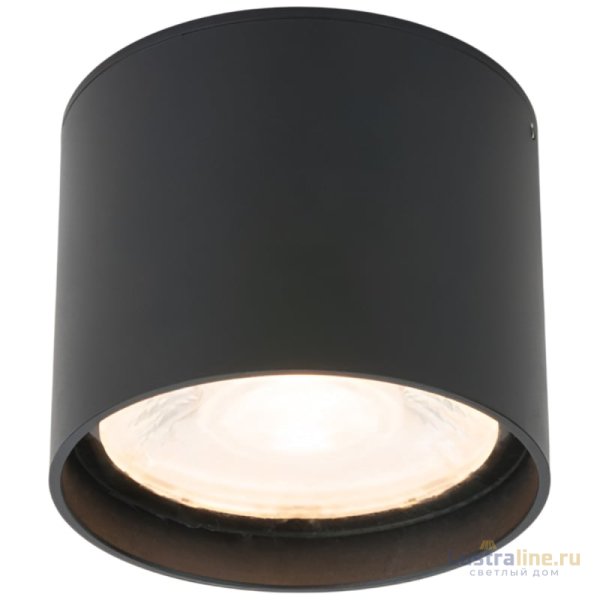 Уличный потолочный светильник Elektrostandard Light LED 4690389176975 Уличный потолочный светильник Elektrostandard Light LED 4690389176975