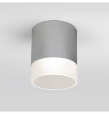 Уличный потолочный светильник Elektrostandard Light LED 4690389177965