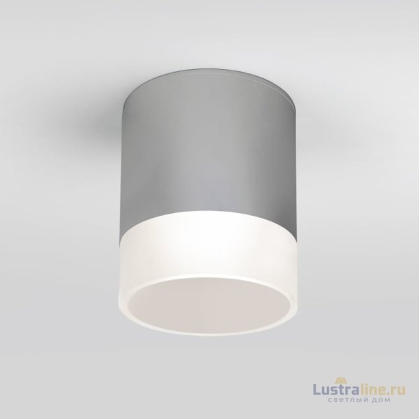 Уличный потолочный светильник Elektrostandard Light LED 4690389177965 Уличный потолочный светильник Elektrostandard Light LED 4690389177965