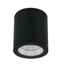 Уличный потолочный светильник Arte Lamp Torcular A1813PF-1BK