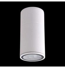 Уличный светильник Crystal Lux CLT 138C180 WH