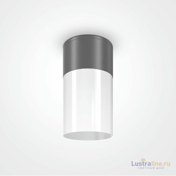 Уличный потолочный светильник Maytoni Willis O418CL-01GR Уличный потолочный светильник Maytoni Willis O418CL-01GR