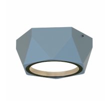 Уличный потолочный светильник Favourite Fantum 4669-1U