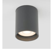 Уличный потолочный светильник Elektrostandard Light LED 4690389177002