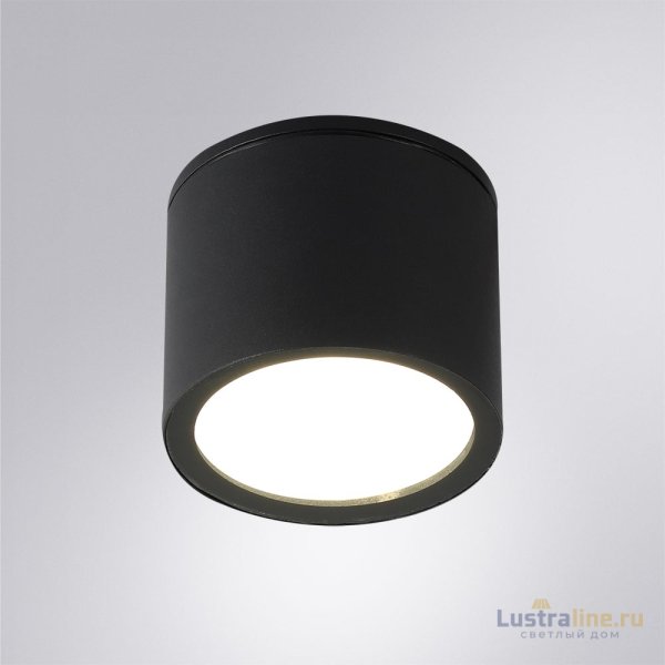 Уличный потолочный светильник Arte Lamp Piautos A1913PF-1BK Уличный потолочный светильник Arte Lamp Piautos A1913PF-1BK