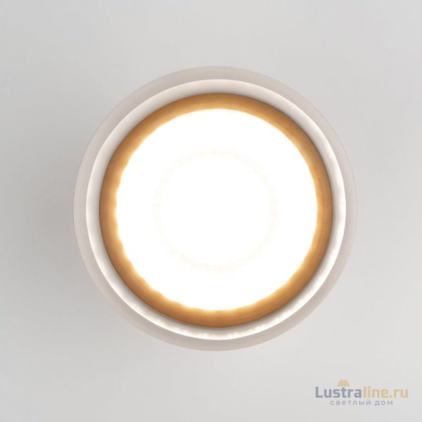 Уличный потолочный светильник Elektrostandard Light LED 4690389177965 Уличный потолочный светильник Elektrostandard Light LED 4690389177965