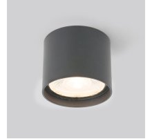 Уличный потолочный светильник Elektrostandard Light LED 4690389177019