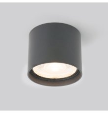 Уличный потолочный светильник Elektrostandard Light LED 4690389177019