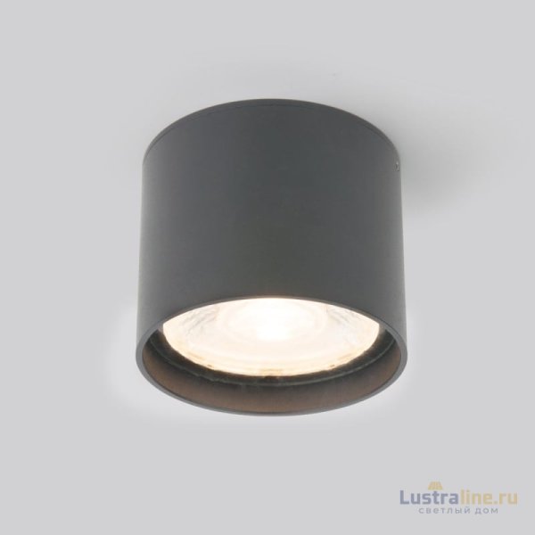 Уличный потолочный светильник Elektrostandard Light LED 4690389177019 Уличный потолочный светильник Elektrostandard Light LED 4690389177019