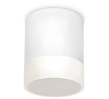 Уличный потолочный светильник Elektrostandard Light LED 4690389177958 Уличный потолочный светильник Elektrostandard Light LED 4690389177958