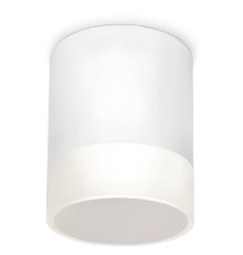 Уличный потолочный светильник Elektrostandard Light LED 4690389177958