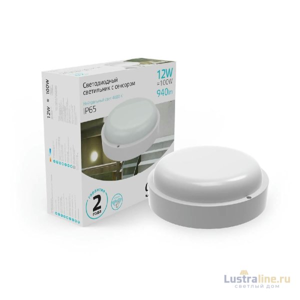 Уличный светодиодный светильник Gauss 126411212-S