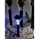 Светильник на солнечных батареях (10623) Uniel Promo USL-C-417/PT305 Purple Crocus