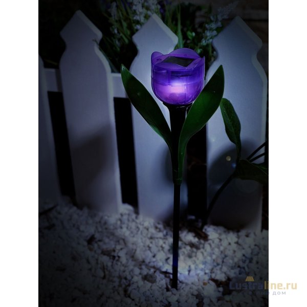 Светильник на солнечных батареях (UL-00004278) Uniel Promo USL-C-453/PT305 Purple Tulip Светильник на солнечных батареях (UL-00004278) Uniel Promo USL-C-453/PT305 Purple Tulip