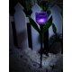 Светильник на солнечных батареях (UL-00004278) Uniel Promo USL-C-453/PT305 Purple Tulip
