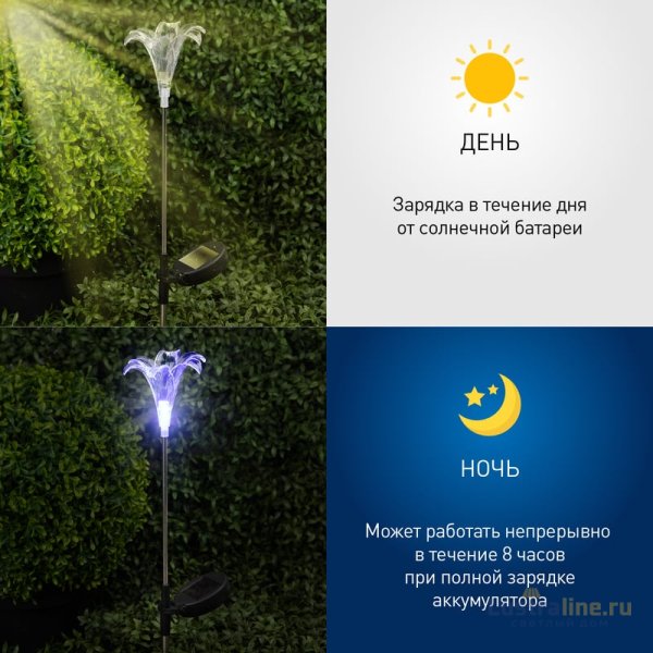 Уличный светильник Эра ERASF22-19 Б0053379 Уличный светильник Эра ERASF22-19 Б0053379