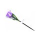 Светильник на солнечных батареях (UL-00004278) Uniel Promo USL-C-453/PT305 Purple Tulip